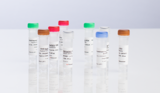 Antibodies and Proteins