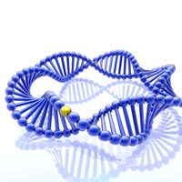 DNA Ligation Kits